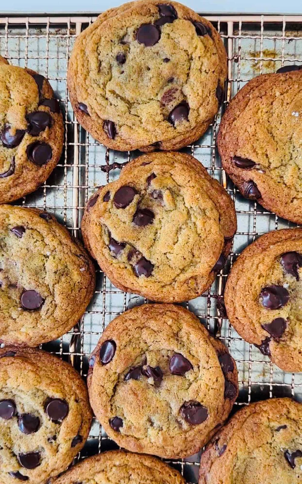 Chocolate Chip Cookies